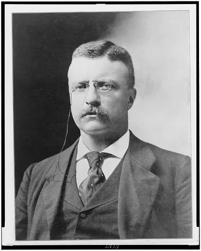 [Theodore Roosevelt, head-and-shoulders portrait, facing front]