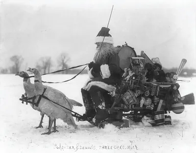 Santa Claus With Christmas Toys on a Sled Drawn by White Turkeys