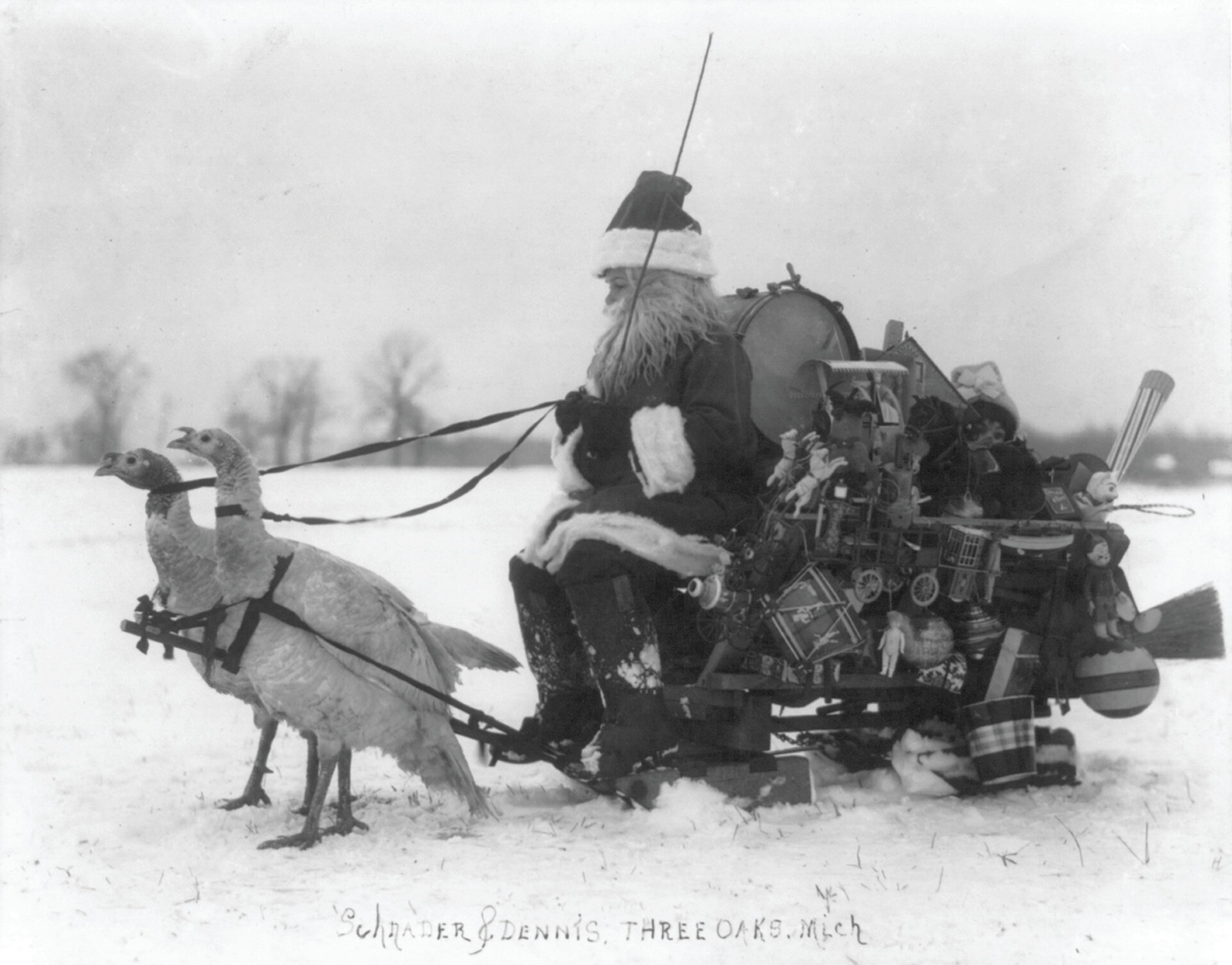 Santa Claus With Christmas Toys on a Sled Drawn by White Turkeys, c. 1909 — historic photograph