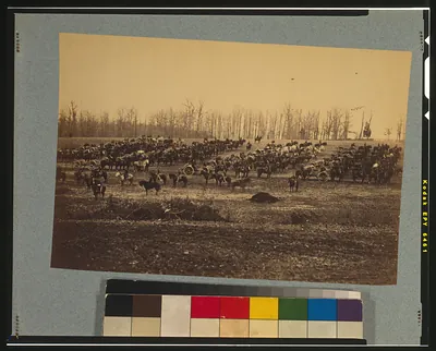 [Horse artillery on parade grounds]