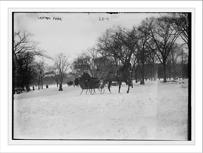 Horse drawn sleigh in Central Park, New York City