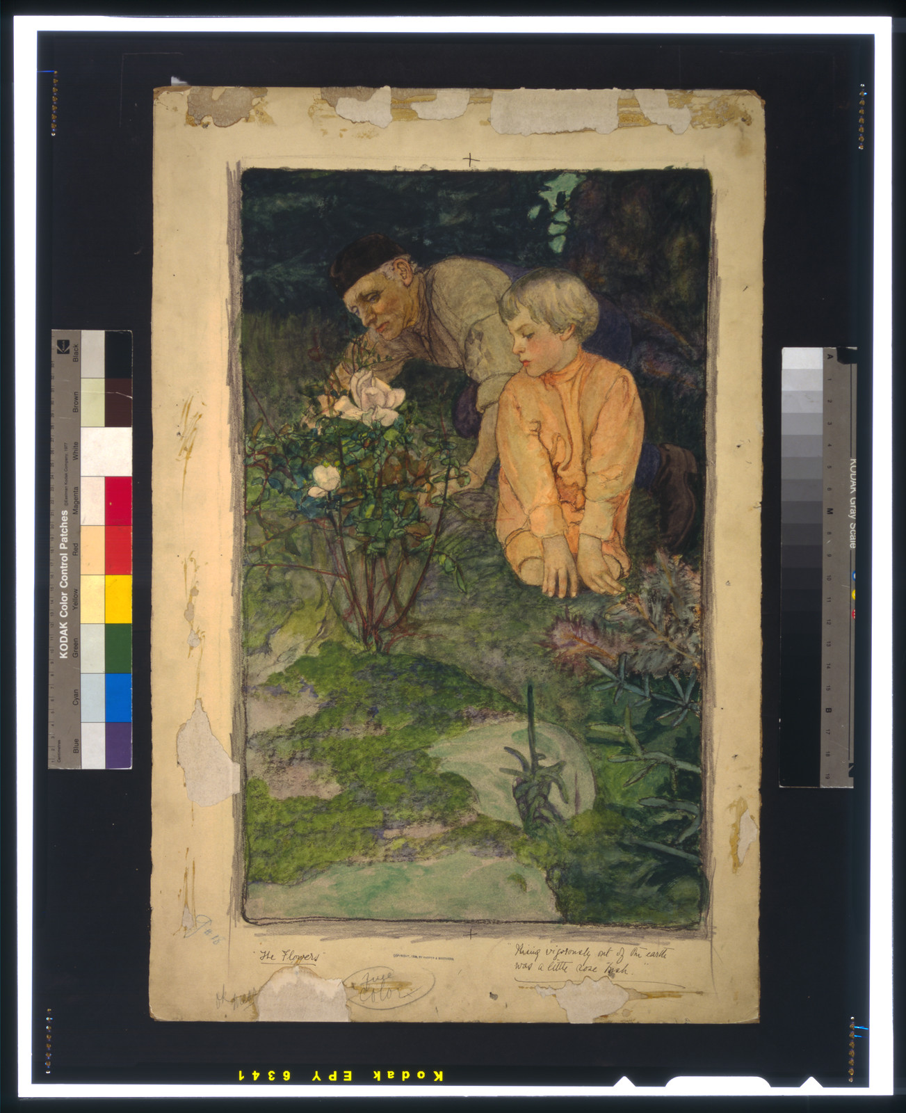 The Flowers — historic image