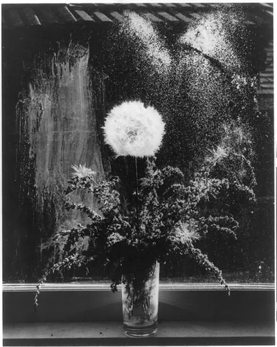 Scottish Thistle and Heather, Rochester, N.Y.