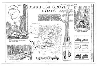 Mariposa Grove Roads