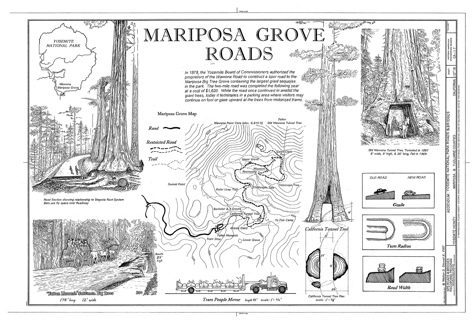 Mariposa Grove Roads — historic image