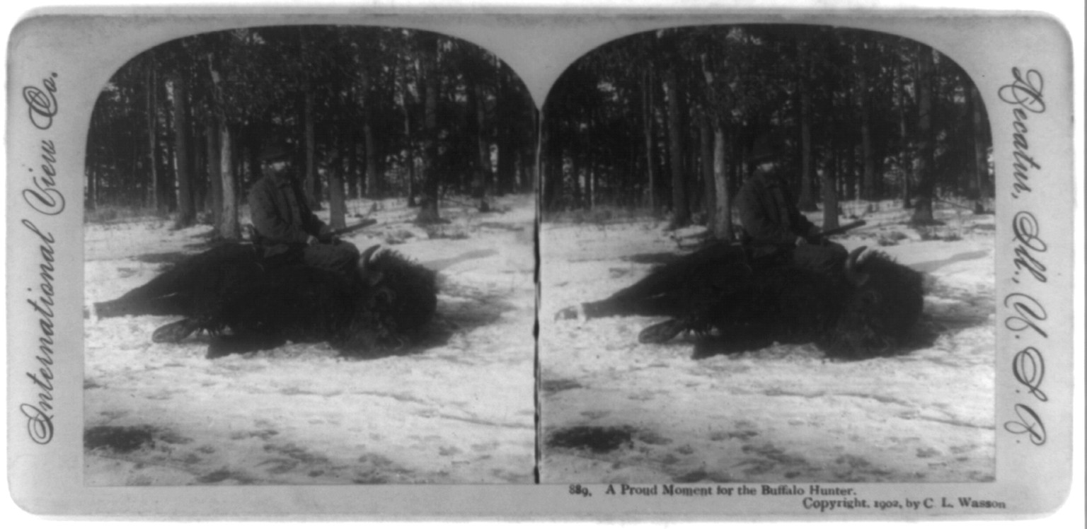 A proud moment for the buffalo hunter, Decatur, Ill. U.S.A : International View Co., c1902. — historic photograph