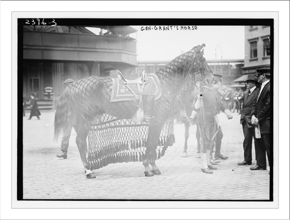 Gen. Grant's horse, n/a — historic photograph
