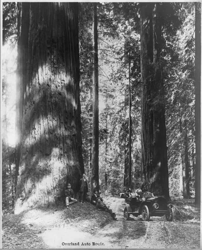 Group posed between auto and gigantic tree, overland auto route" western U.S."