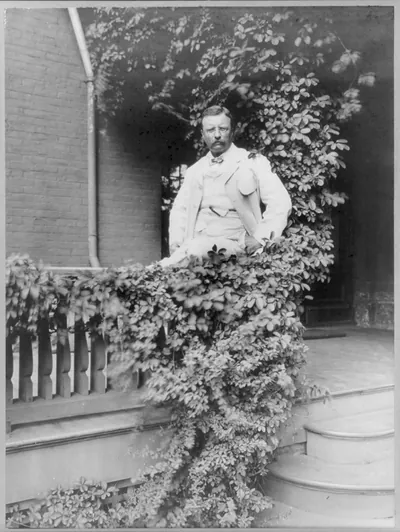 [Theodore Roosevelt, 1858-1919, three-quarters length, facing front, on veranda]