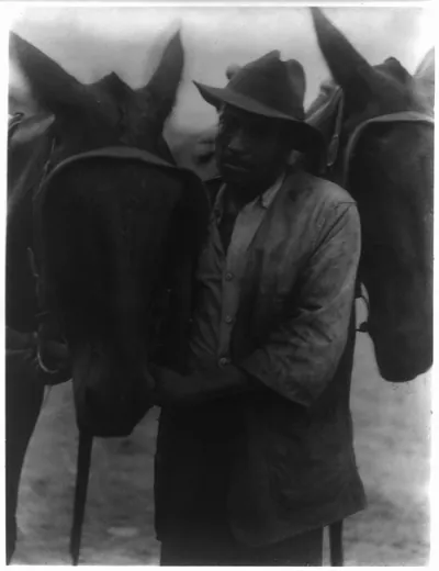 [Negro with two horses]