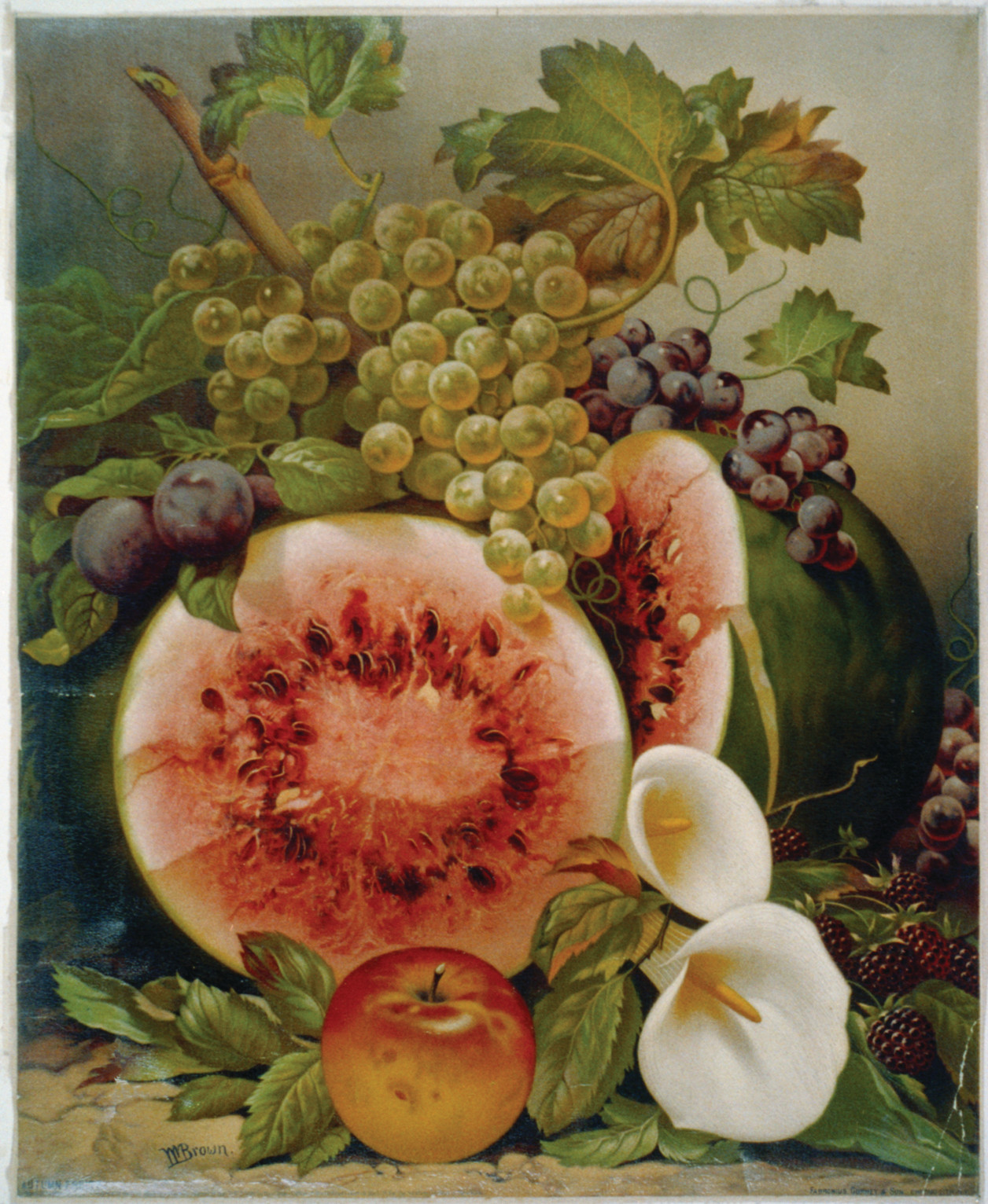 Apples — historic image