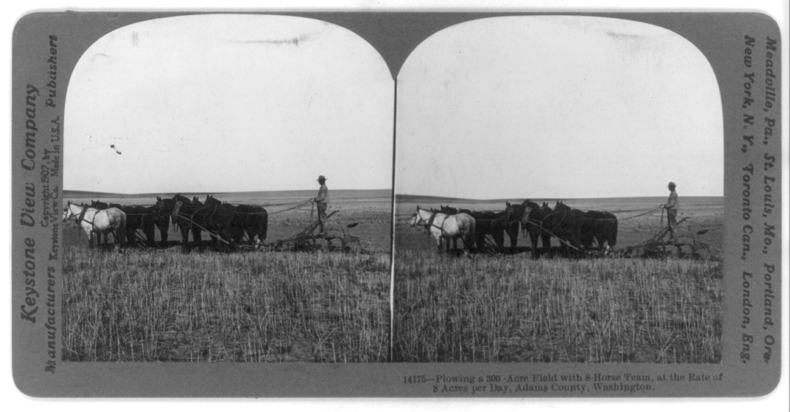 Plowing a 300 acre field with 8 horse team, at the rate of 8 acres per day, Adams County, Washington, c1907. — historic photograph