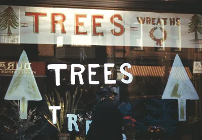Christmas Trees and Wreaths in Store Window Display