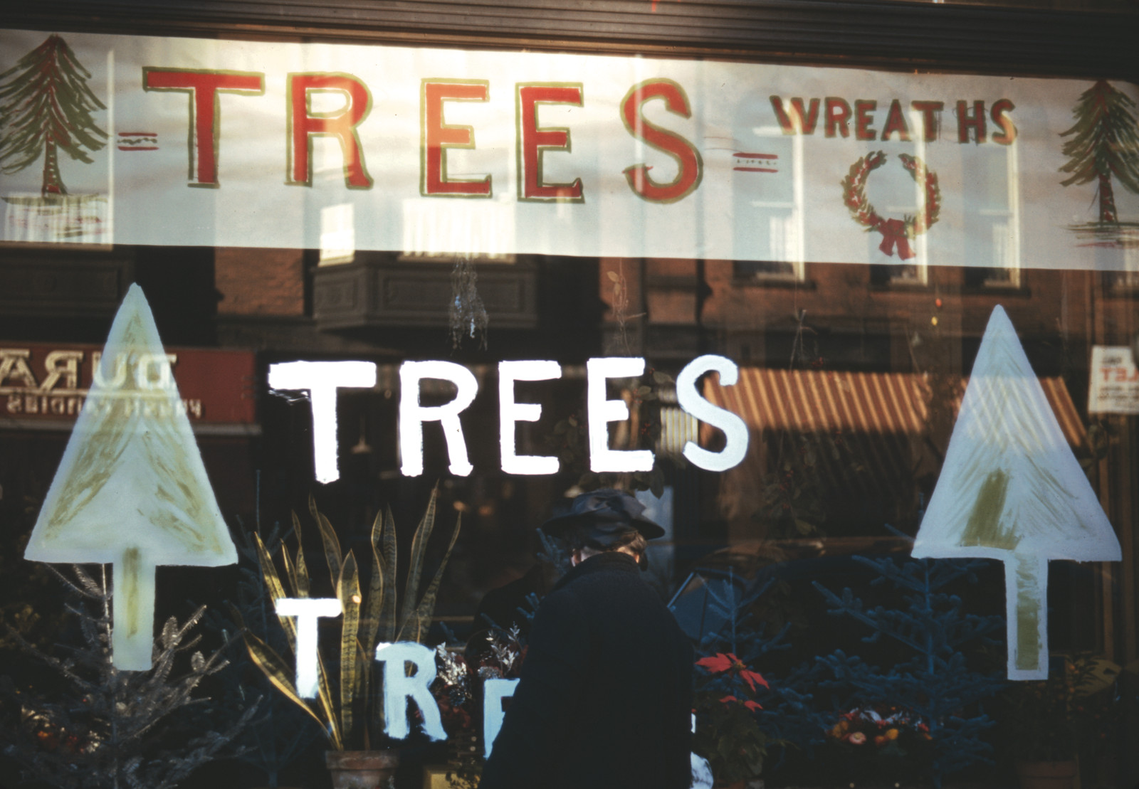 Christmas Trees and Wreaths in Store Window Display, c. 1941-1942 — historic image