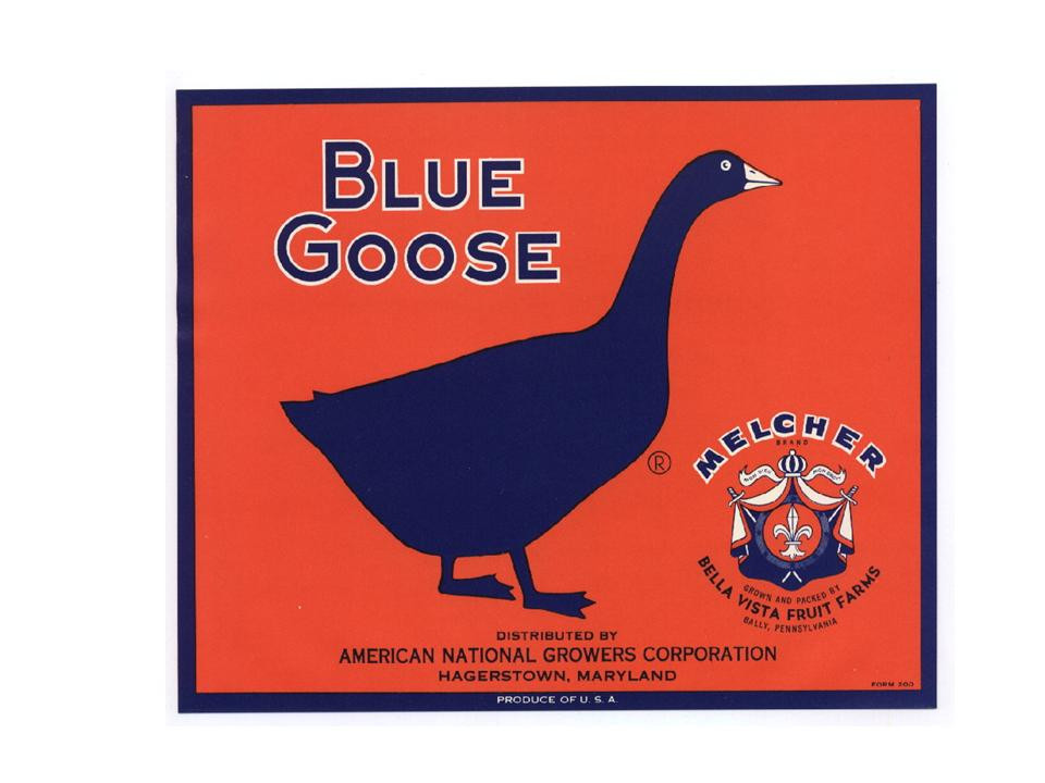 Blue Goose fruit label, Melcher brand, Bella Vista Fruit Farms — historic image