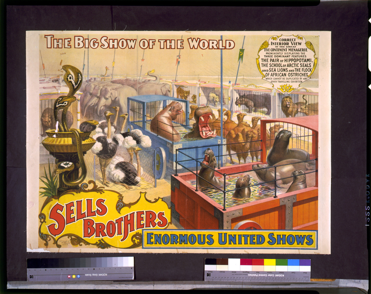 Sells Brothers enormous united shows. ... Correct interior view of the great five continent menagerie ..., c1895. — vintage poster