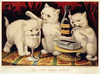 The three greedy kitties: at the feast