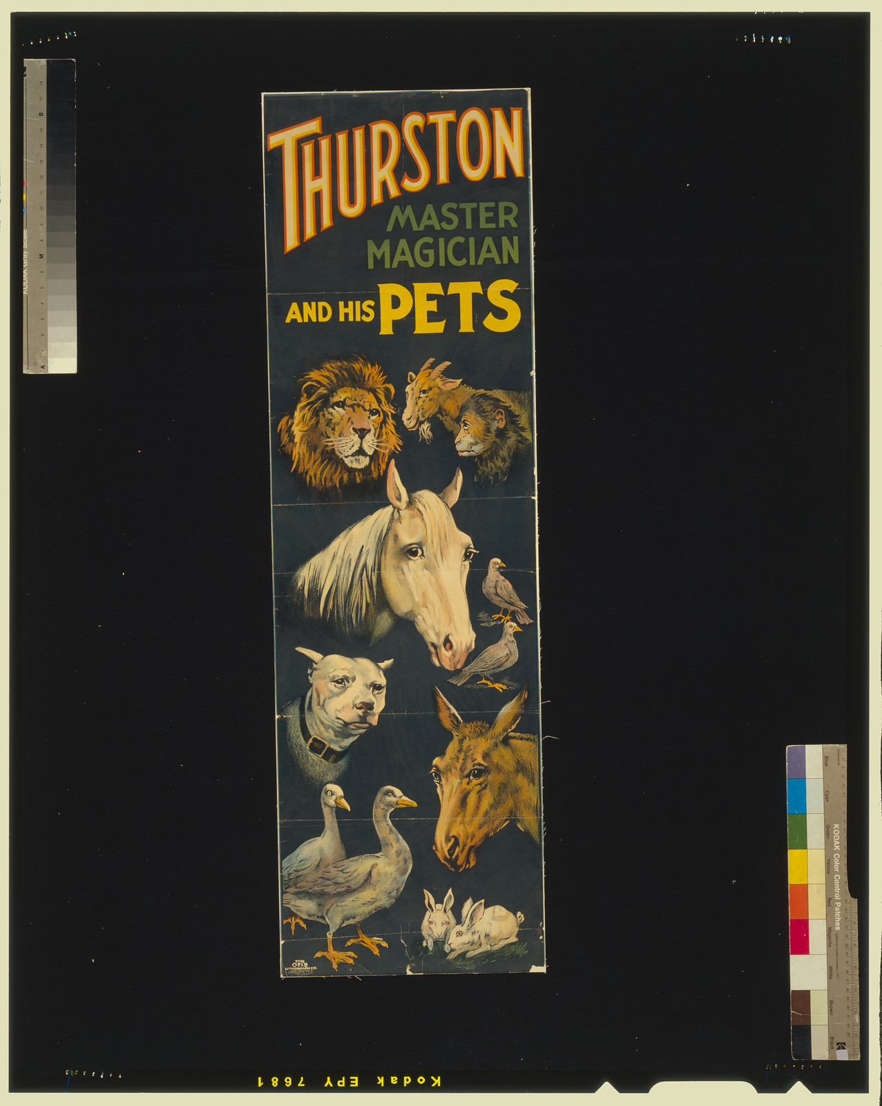 Thurston, master magician and his pets, Cleveland, O. : Otis Lithograph Co., [ca. 1898] — vintage poster