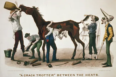 A Crack trotter" between the heats"