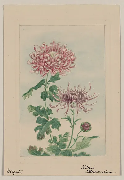 [Japanese drawing]