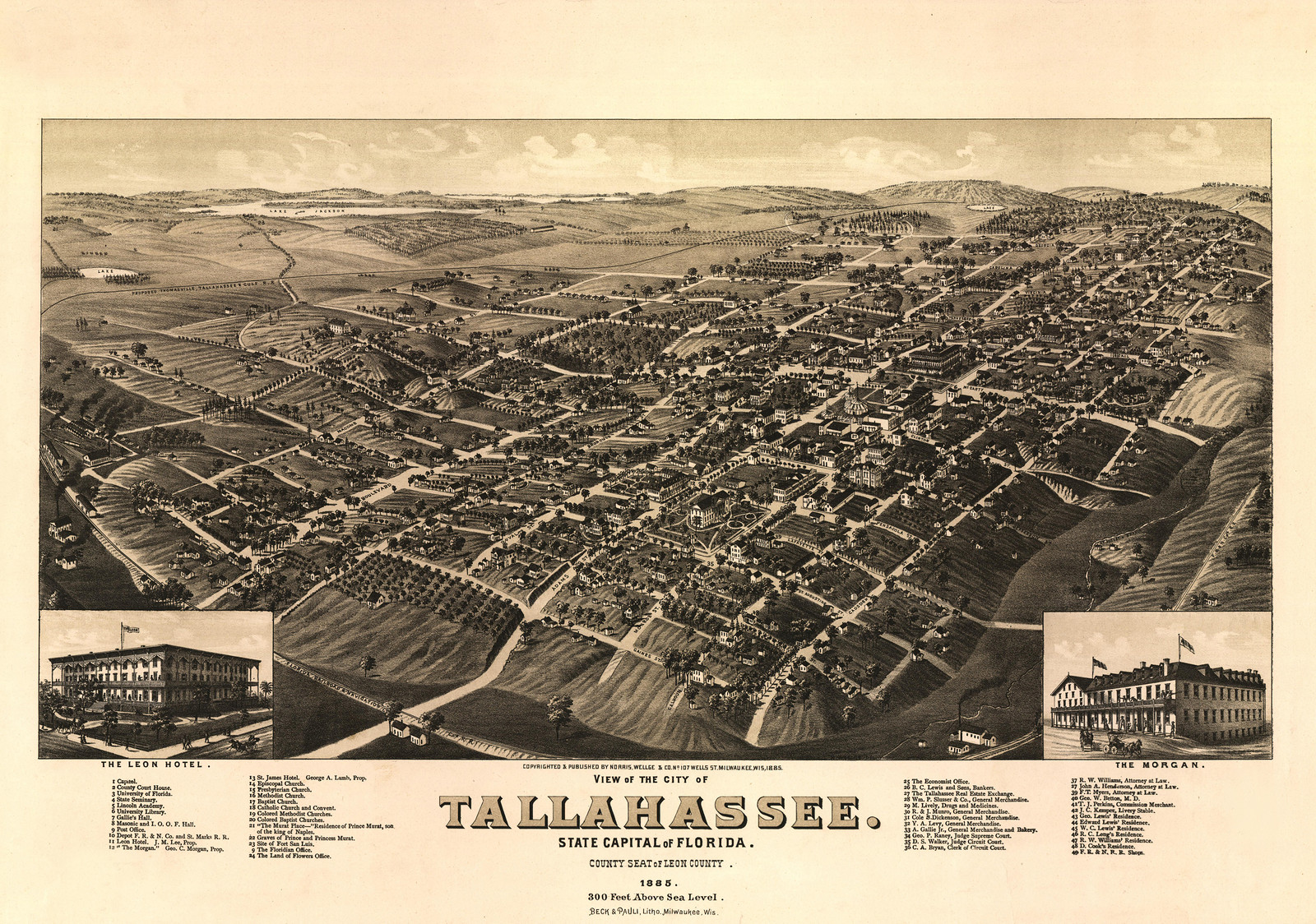 View of the City of Tallahassee, State Capital of Florida, 1885, 1885 — antique map
