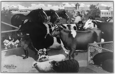 [Men with cattle, horses, sheep, pigs and chickens at country fair]