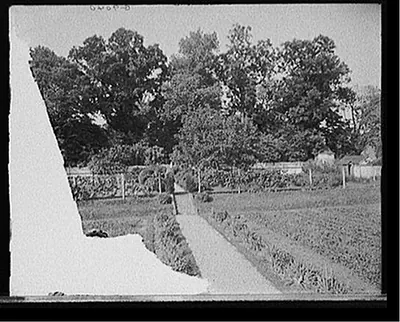 [The Kitchen garden, Mt. Vernon, Va.]