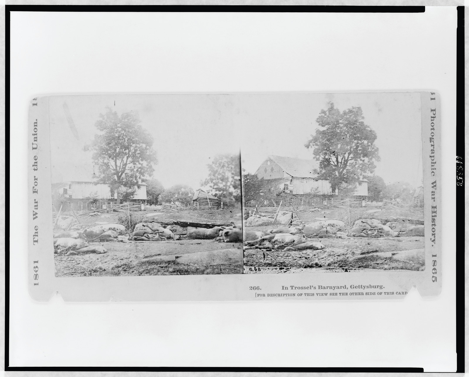 In Trossel's barnyard, Gettysburg, Hartford, Conn. : The War Photograph & Exhibition Company, [between 1863 and 1865, printed later] — historic photograph