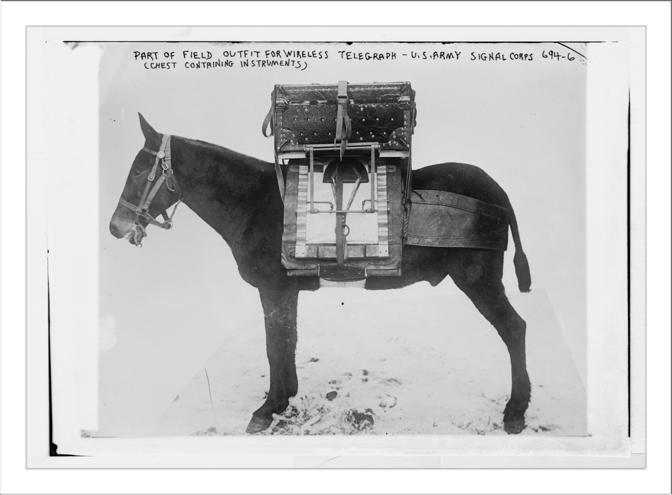 Pack horse used by U.S. Army Signal Corps, carrying chest of instruments for local outfit for wireless telegraph, 3/24/16. — historic photograph