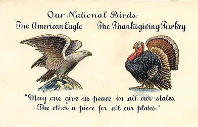 Our National Birds: The American Eagle and The Thanksgiving Turkey