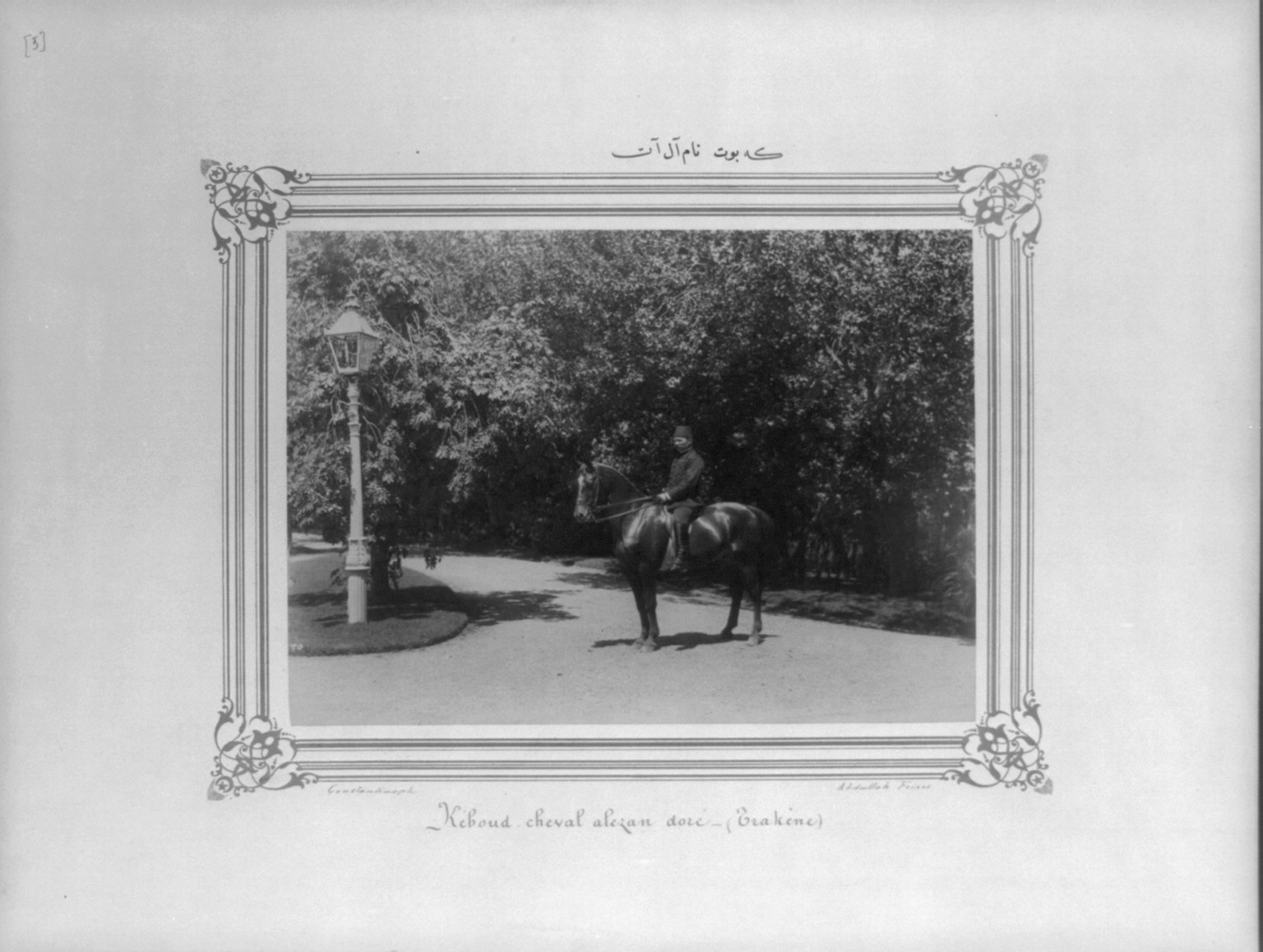 [A reddish horse named Kebut] / Constantinople, Abdullah Frères., [between 1880 and 1893] — historic photograph