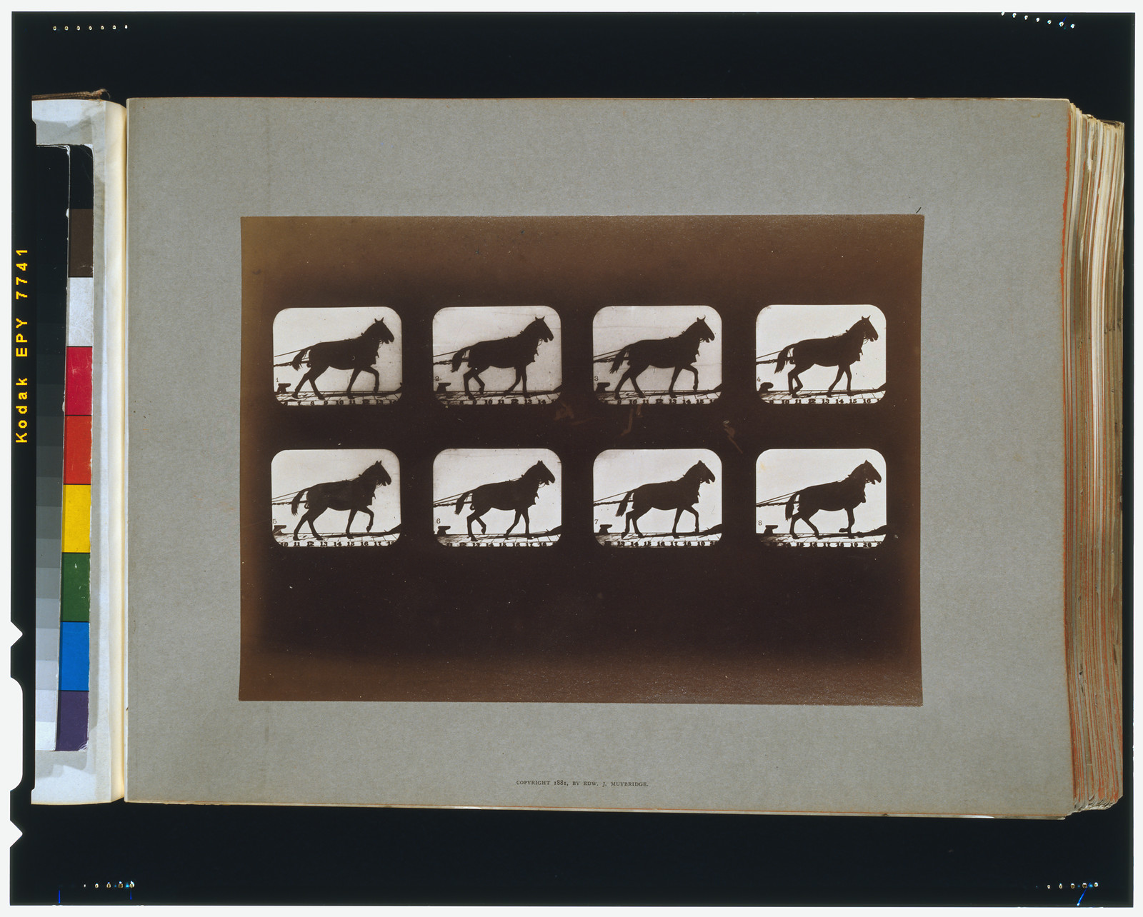Horses. Hauling, [San Francisco] : Muybridge, c1881. — historic photograph