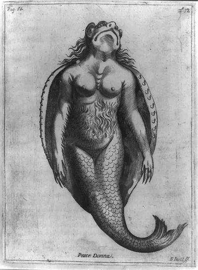 Pesce Donna