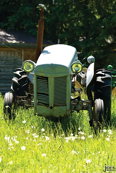 Vintage gray tractor in tall grass with dandelions