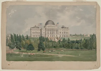 West view of the Capitol with grazing cows