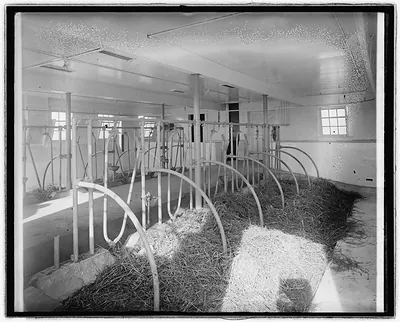 Chestnut Farms Dairy, [Washington, D.C.]