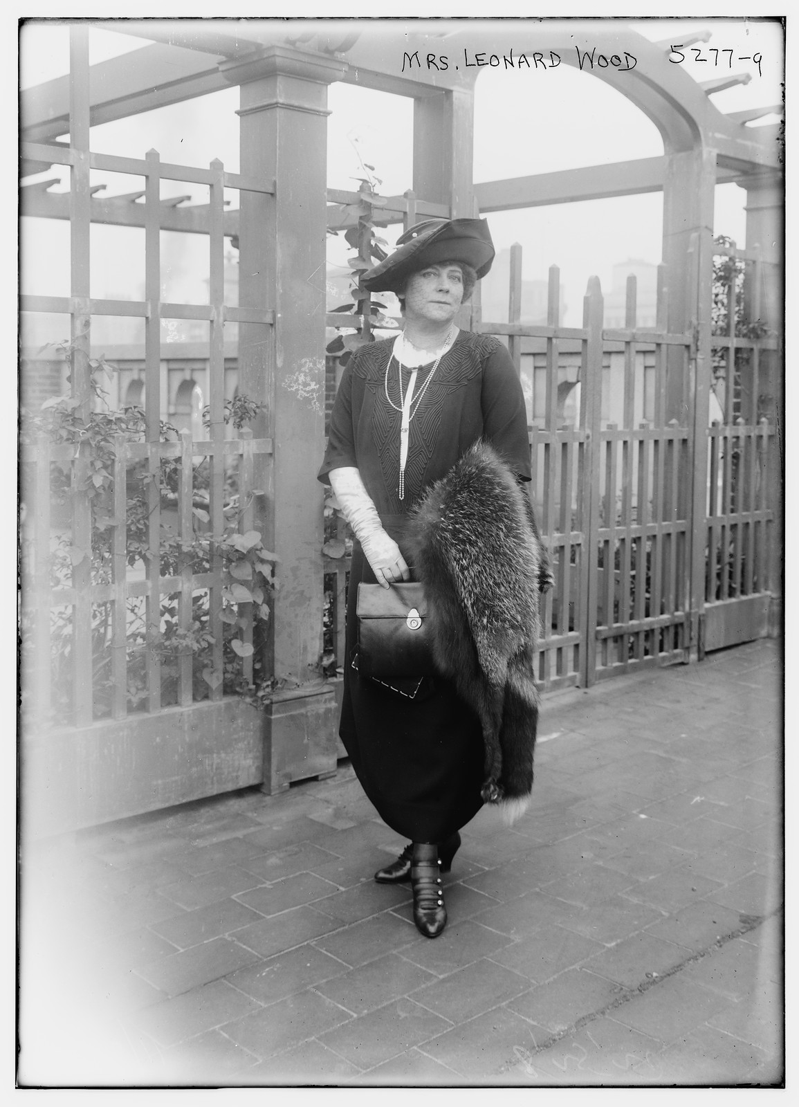 Mrs. Leonard Wood & Mrs. D. Robinson, n/a — historic photograph