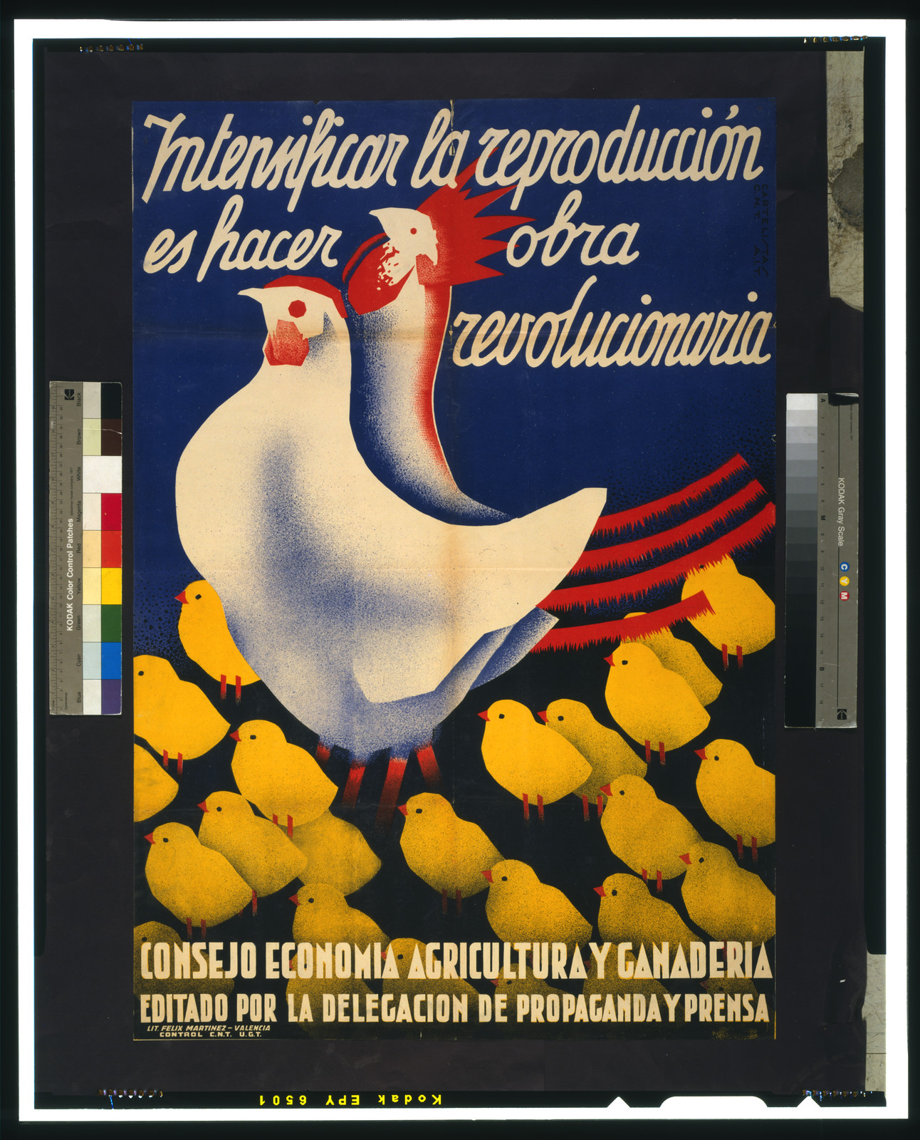 Intensificar la reproducción es hacer obra revolucionaria, [Barcelona] : Delegacion de Propaganda y Prensa, [between 1936 and 1939] — vintage poster