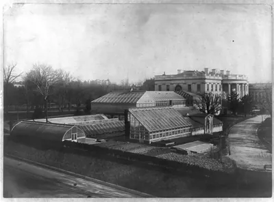 D.C. Washington. White House