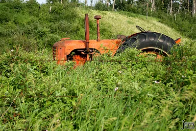 Rusted orange tractor overgrown with grass on a hillside