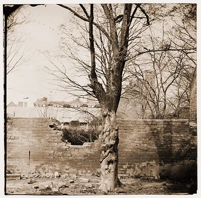 Petersburg Virginia. Damage to garden wall