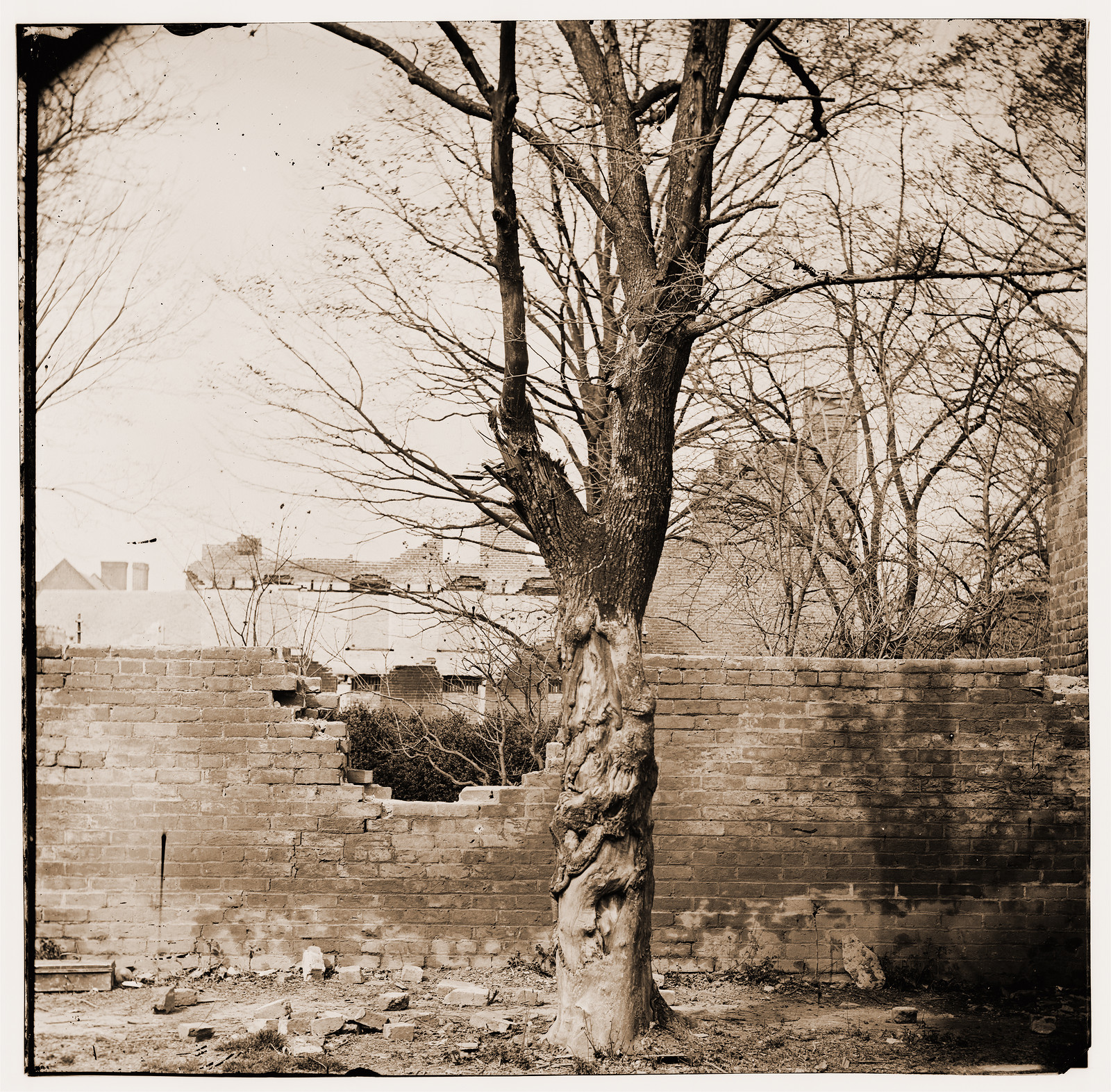 Petersburg Virginia. Damage to garden wall, 1865 — historic photograph
