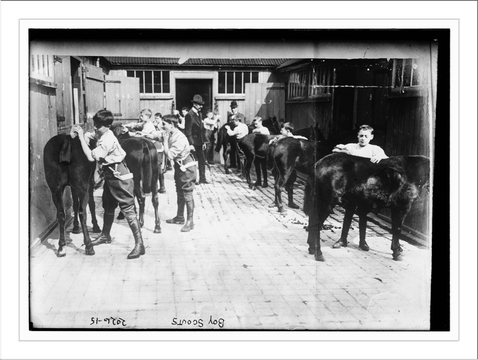 Boy Scouts. Grooming their horses. Same shot as LC-B2-2026-14, n/a — historic photograph