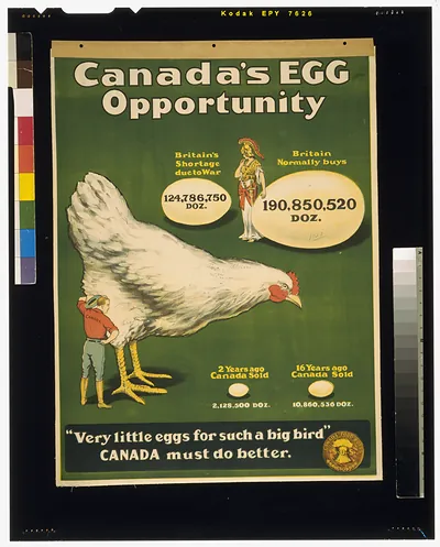 Canadas egg opportunity