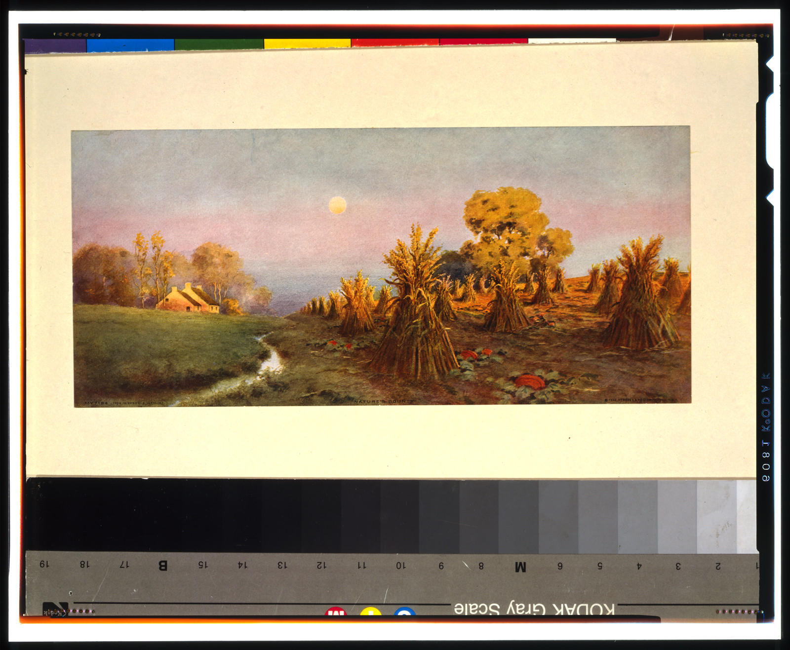 Nature's bounty / from painting by E. Lamasure., c1910. — historic print