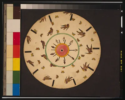 [Optical illusion disc with birds, butterflies, and a man jumping]