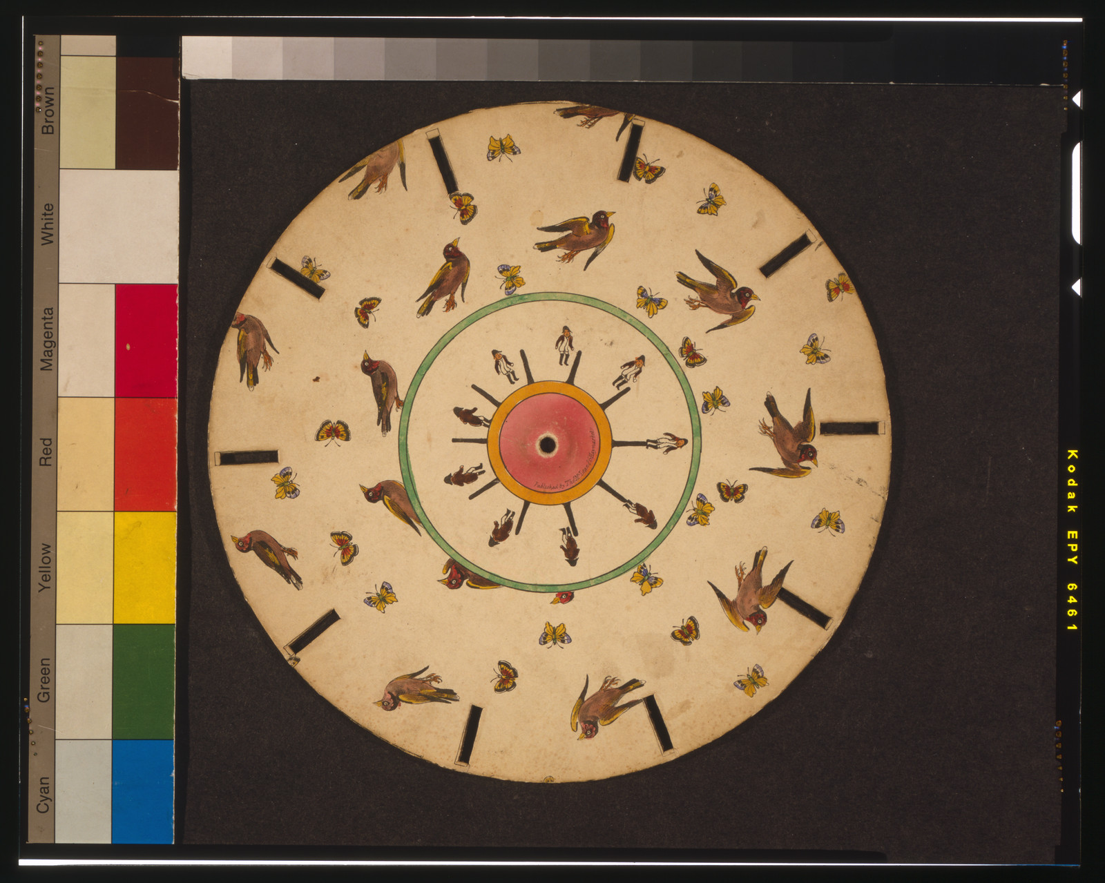 [Optical illusion disc with birds, butterflies, and a man jumping], Haymarket, [London] : Published by Thos. McLean, [1833] — antique lithograph