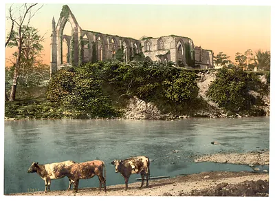 Abbey from the river Bolton England