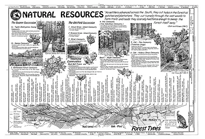 Natural Resources: Forest Types Along the Natchez Trace