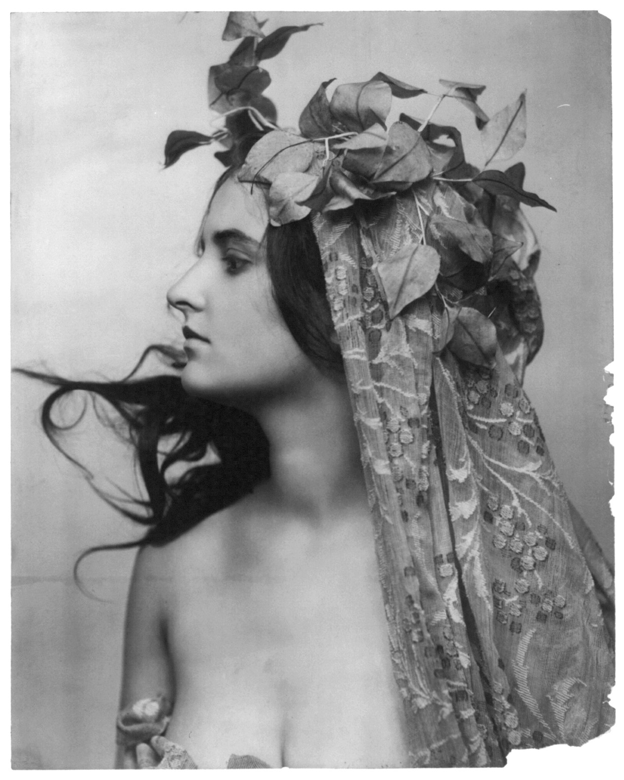 [Young woman modeling: head and shoulders, facing left, vines on head, and meshed fabric draped from head over body], [no date recorded on caption card] — historic photograph
